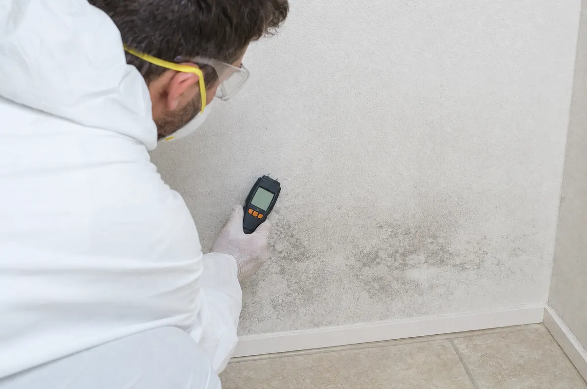 Inspector reading a moisture meter against a mold-affected wall in a Fort Worth, TX home